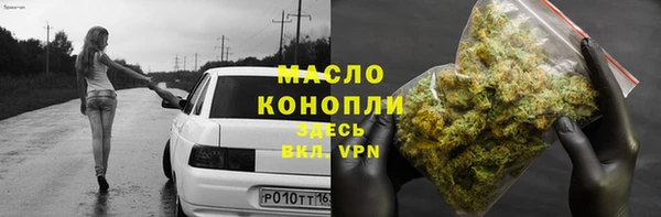 тгк Абаза