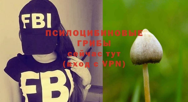 Альфа ПВП Алексеевка