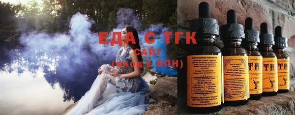 тгк Абаза