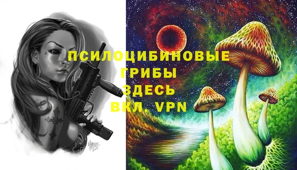 бутират Алексин