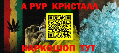 PSILOCYBIN Можга