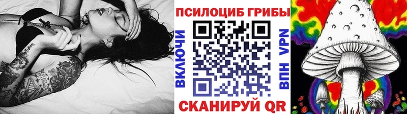 Псилоцибиновые грибы прущие грибы Зеленокумск