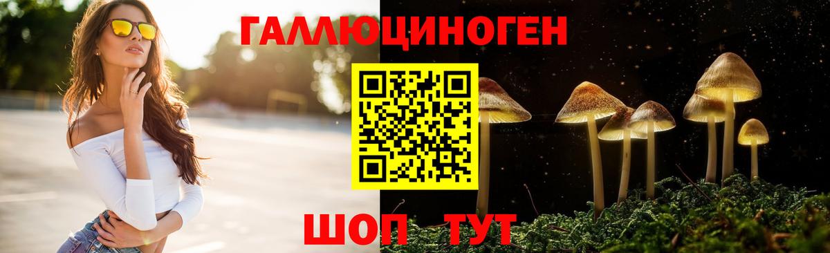 Галлюциногенные грибы MAGIC MUSHROOMS  Вход с VPN  Псилоцибиновые грибы прущие грибы  Зеленокумск 